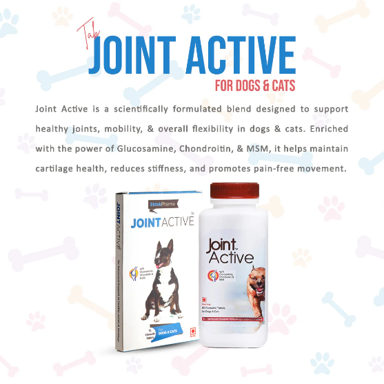 Picture of Joint Active tablet 1x10