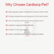 Picture of Ektek Cardiocip Pet Tablet