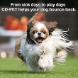 Picture of CD-Pet Drops 100 ml