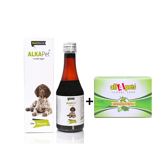 Picture of Ektek Alkapet Syrup 200 ml