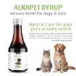 Picture of Ektek Alkapet Syrup 200 ml