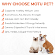Picture of Ektek Motu Pet Syrup 200 ml