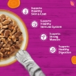 Picture of WHISKAS TASTY MIX Adult Wet Cat Food in Gravy 12x85g Country Collection 