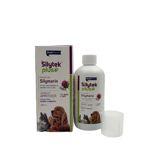 Picture of Ektek Silytek Plus Liquid 200 ml