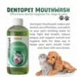 Picture of All4pets DENTOPET MOUTHWASH 300 ml