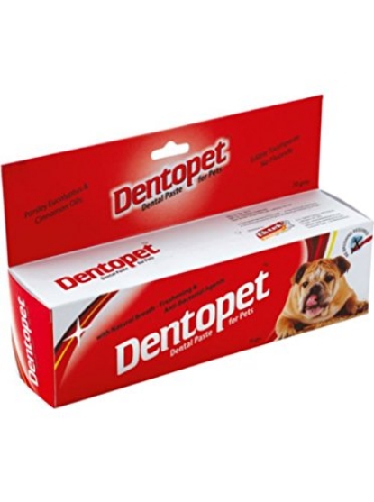Picture of all4pets Dentopet Paste 70 gm