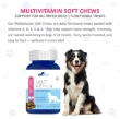 Picture of EKTEK  Soft Chews- Multi Vitamin for Dogs 