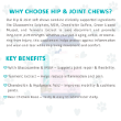 Picture of Ektek Hip & Joint for Dogs