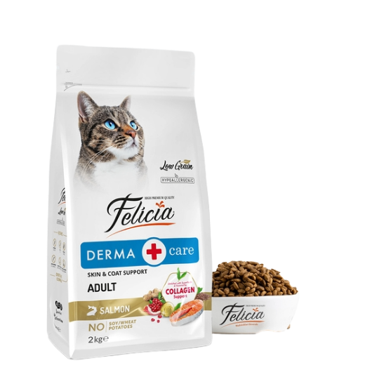 Picture of Felicia Derma Care Adult Salmon 2kg
