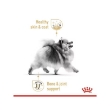 Picture of Royal Canin  Pomeranian Adult  1.5 Kg