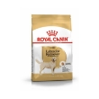 Picture of Royal Canin Labrador Adult 12KG