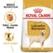 Picture of Royal Canin Labrador Adult 12KG