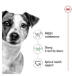 Picture of ROYAL CANIN MINI ADULT CIL 195g (12/Pac)