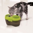 Picture of CatH2O Water Fountain 2L (Green)