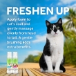 Picture of Tropiclean Berry & Coconut Deep Cleansing Waterless Shampoo for Cats 