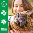 Picture of TropiClean Kiwi Blossom Deodorizing Pet Spray  (236ml)