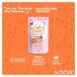 Picture of SCHESIR BABY CAT POUCH MOUSSE SALMON WITH CHICKEN 70G (12/Pack)