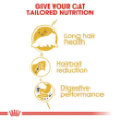 Picture of Royal Canin  int 16D Pro Persian 10kg