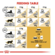 Picture of Royal Canin  int 16D Pro Persian 10kg