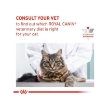 Picture of Royal Canin   Veterinary Diet Feline Satiety Weight Management 1.5Kg