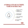 Picture of ROYAL CANIN BABYDOG MILK 400G