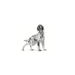 Picture of Royal Canin Veterinary Health Nutrition  Renal Adult    410g(12/pac)