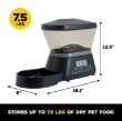 Picture of Gamma Nano Automated Feeder Cat & Dog Bowl, 2 Cups