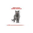 Picture of Royal Canin® British Shorthair (12/pack)