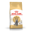 Picture of Royal Canin® BrItish Shorthair 4kg