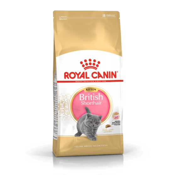 Picture of Royal Canin British shorthair kitten 2kg 
