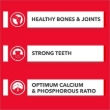 Picture of Drools Absolute Calcium Bone Jar Dog Supplement Treat