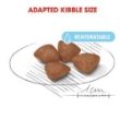 Picture of Royal Canin Mini starter 1KG
