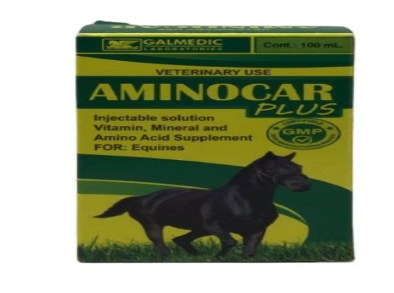 Picture of Galmedic Aminocar Plus Injectable Solution for Equines (100mL)