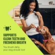 Picture of WHIMZEES Wellness Stix  Dental Dog Treats, Extra Small  420g