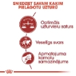 Picture of Royal Canin Adult Fit &  active 2kg