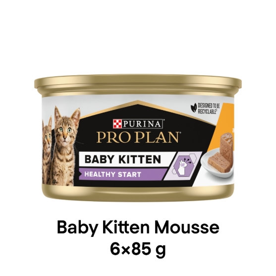 Picture of Pro Plan Baby Kitten Mousse Can Chicken 6x85g