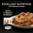 Picture of Pro Plan Kitten Healthy Start Turkey in Gravy 6x85 g