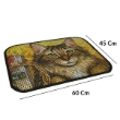 Picture of Double-Layer Cat Litter Trapping Mat (Cute Cat Print Edition)