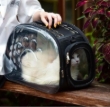 Picture of Paws & Views Collapsible Transparent Soft-Side Pet Travel Carrier (Blue)