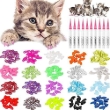 Picture of WILLBOND 200-Piece Cat Nail Caps Kit (20 Colors) with Adhesive Glue & Applicators