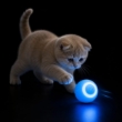 Picture of 360° Smart Rolling Interactive Cat Toy Ball