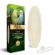 Picture of Gold Wings Premium Natural Cuttlefish Bone for Birds  (6-Pack)