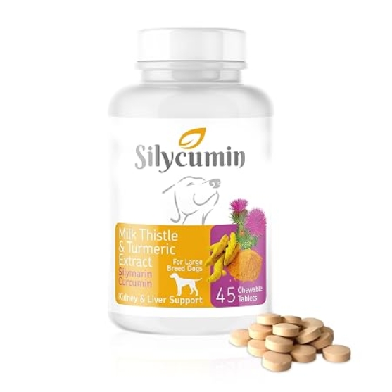 Picture of BIO petactive LIVER & KIDNEY SUPPORT 90 TAB