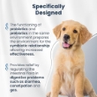 Picture of Bio PetActive Synbioflora Pre + Pro Biotic Supplement for Medium and Large Breed Dogs – 60 Tablets