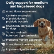 Picture of Bio PetActive Synbioflora Pre + Pro Biotic Supplement for Medium and Large Breed Dogs – 60 Tablets