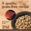 Picture of Taste of the Wild Canyon River Feline Recipe Chunks in Gravy Wet Cat Food Pouch 85g (6/Pack)