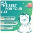 Picture of CosmoCat Salmon Cream Cat Treats 50g, E-Protein, Hypoallergenic