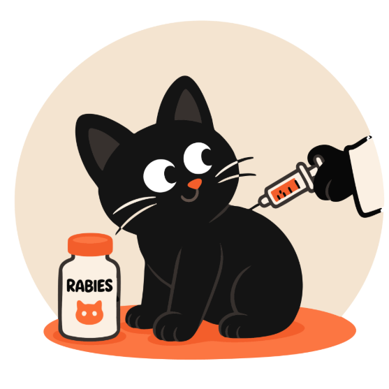 Picture of Cat/Rabies vaccine