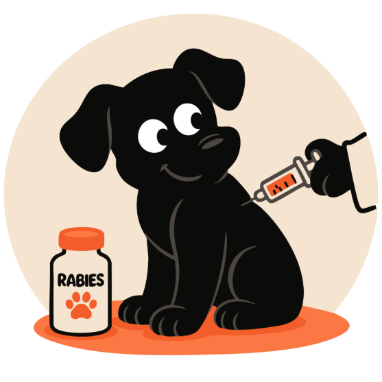 Picture of Dog/Rabies vaccine