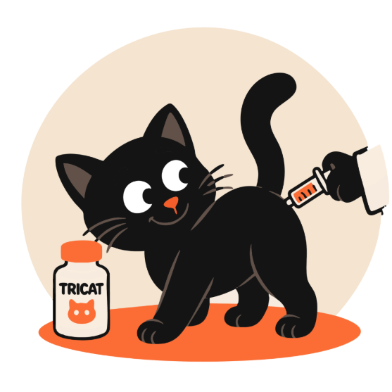 Picture of Tricat Vaccination